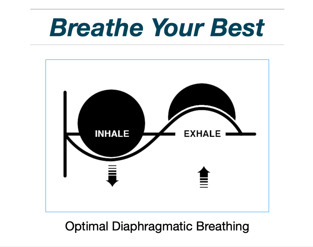 Diaphragmatic Breathing – Courses